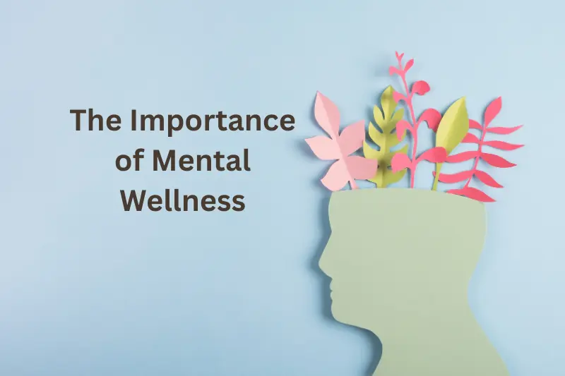The Importance of Mental Wellness