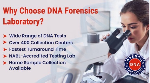 Legal DNA Paternity Test